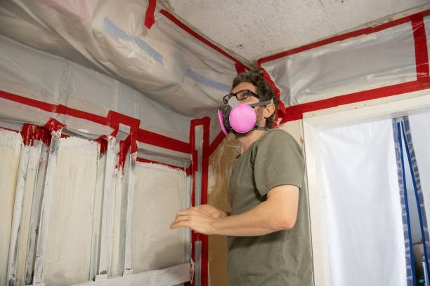 Biohazard Mold Removal in Kimball, TN