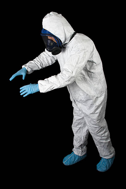 Best Asbestos and Lead Testing During Mold Inspection  in Kimball, TN